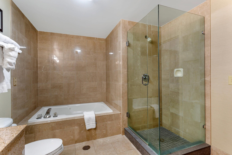 Bathroom 4, Comfort Suites Southaven - Memphis South, Desoto