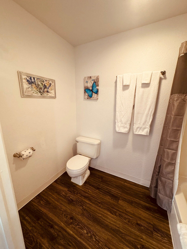 Bathroom 4, Brownsville Motel, Yuba