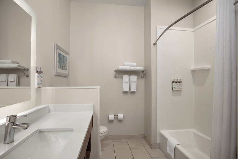 Bathroom 4, Holiday Inn Express & Suites DRIPPING SPRINGS - AUSTIN AREA by IHG, Hays
