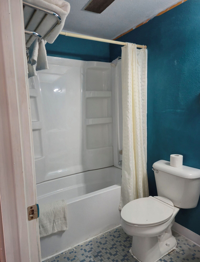 Bathroom 4, Napp Inn Motel, Whiteside