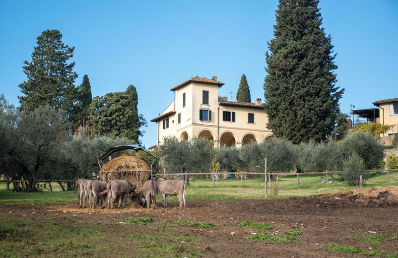 Exterior & Views 2, Fattoria di Maiano, Florence