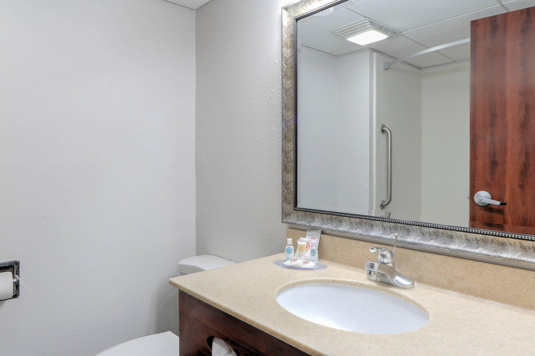 Bathroom 5, Comfort Inn & Suites At Dollywood Lane, Sevier