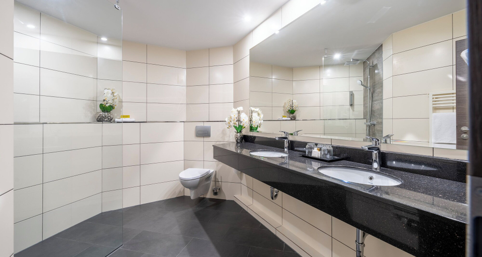 Bathroom 5, PLAZA INN Schmöker-Hof, Segeberg