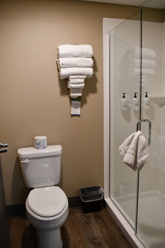 Bathroom 4, Cobblestone Inn & Suites - Trenton, Grundy