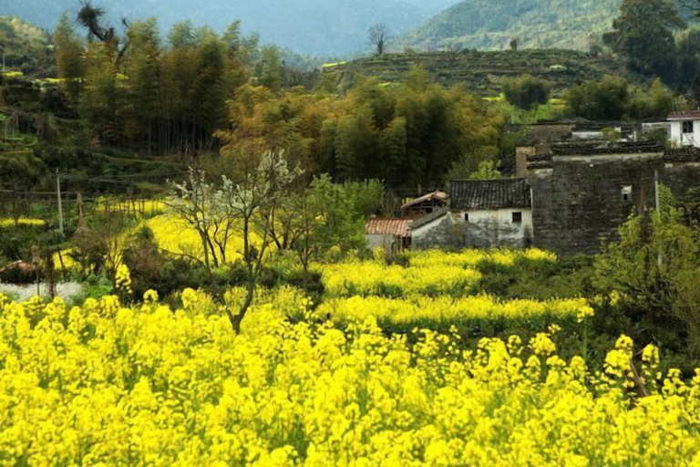Others 4, Wuyuan Youyicun Inn, Shangrao