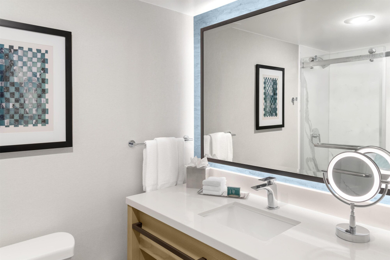 Bathroom 5, DoubleTree by Hilton South Bend, Saint Joseph