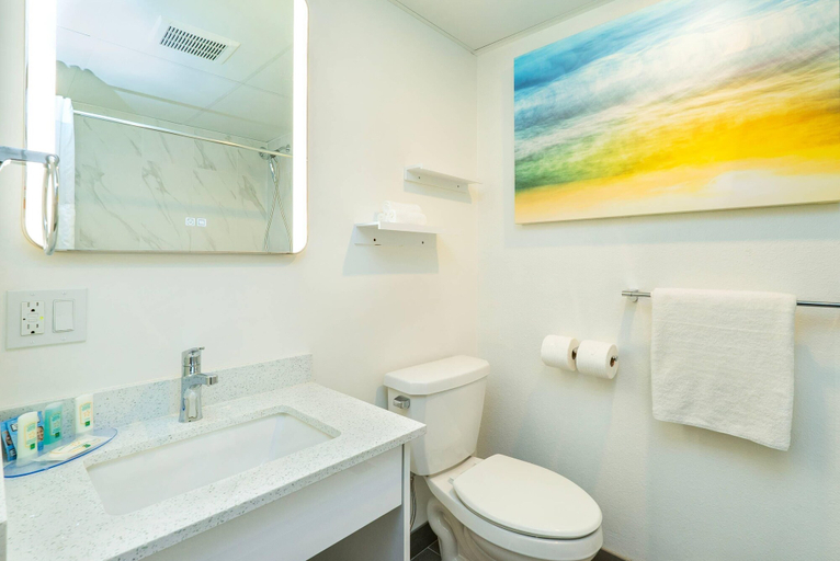 Bathroom 4, Quality Inn & Suites, Thompson-Nicola