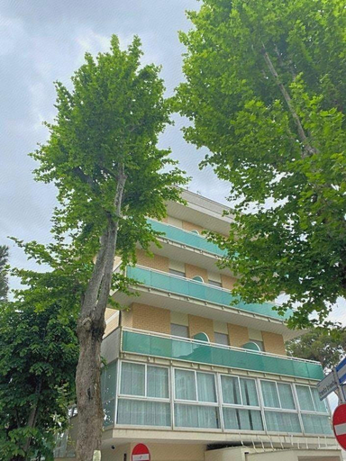 Exterior & Views 2, Hotel Modenese, Rimini