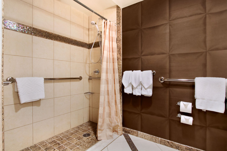 Bathroom 5, DoubleTree by Hilton Washington Dulles Airport, Fairfax