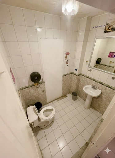 Bathroom 4, Free Spirit Hostel Guadalajara, Guadalajara