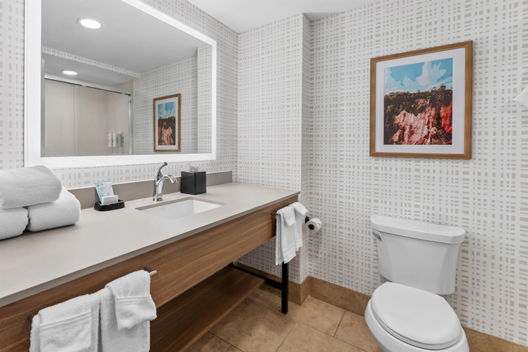 Bathroom 4, Hampton Inn & Suites Tifton, Tift