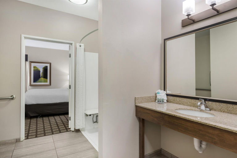 Bathroom 5, Best Western North Bryant Inn San Angelo, Tom Green