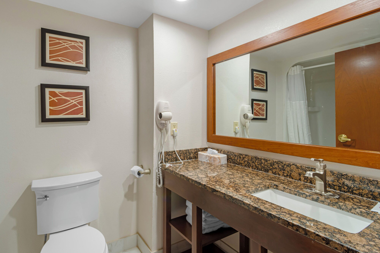 Bathroom 4, Comfort Inn & Suites Spartanburg North, Spartanburg