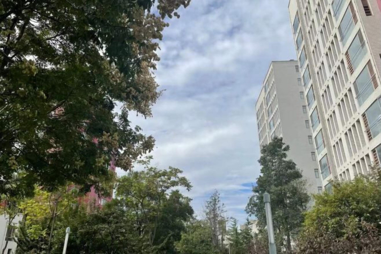 Exterior & Views 2, Keyuan Business Hotel, Jining