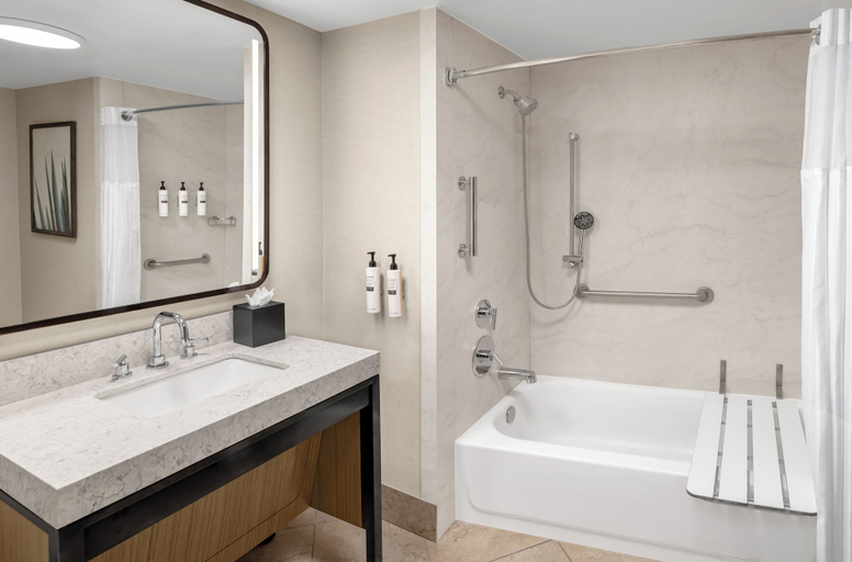 Bathroom 4, Embassy Suites San Antonio Riverwalk-Downtown, Bexar