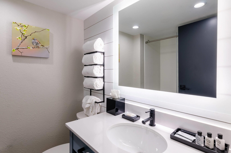 Bathroom 5, Graystone Lodge, an Ascend Collection Hotel, Watauga