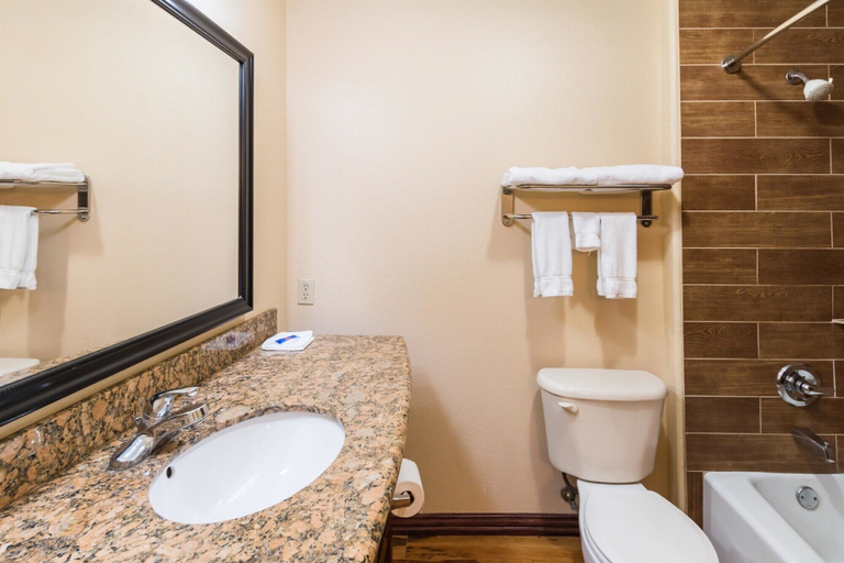 Bathroom 4, Motel 6 Joshua, TX, Johnson