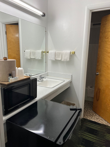 Bathroom 4, Village Inn, Saline