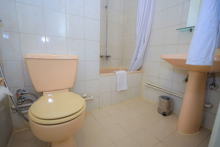 Bathroom 4, Cleopatra Hotel, Aswan