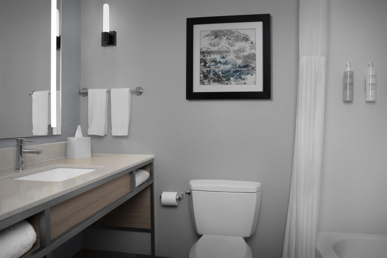 Bathroom, Hilton Garden Inn Auburn/Opelika, Lee