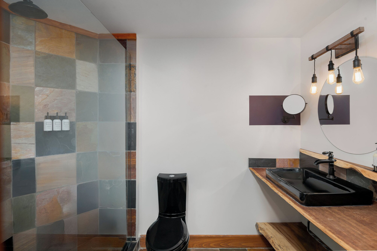 Bathroom 5, The Horton Hotel and Rooftop Lounge, Watauga