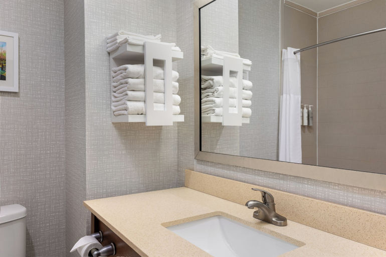 Bathroom 4, Hampton Inn Lake Charles, Calcasieu