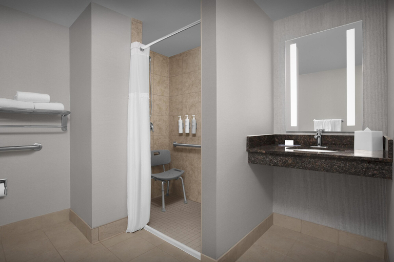 Bathroom 4, Hilton Garden Inn Denver/Highlands Ranch, Douglas