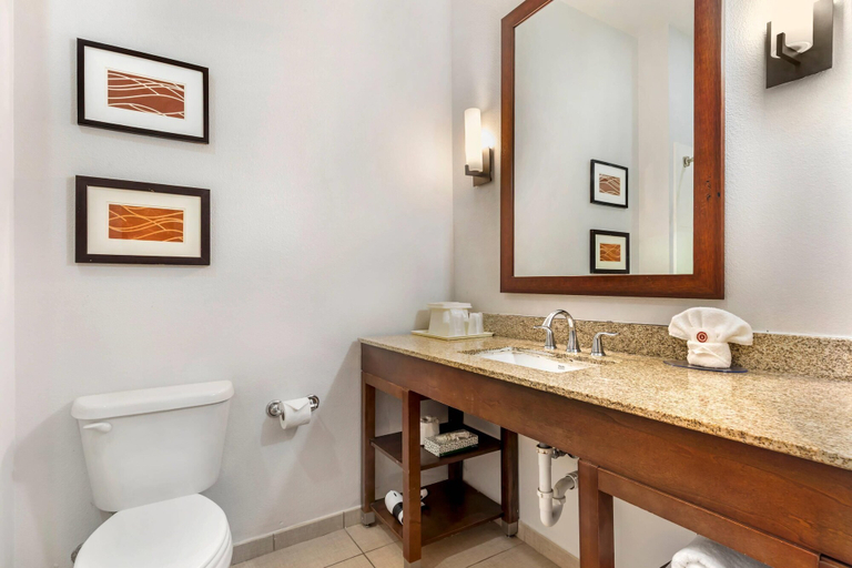 Bathroom 4, Comfort Inn & Suites Red Oak - Dallas Area, Ellis