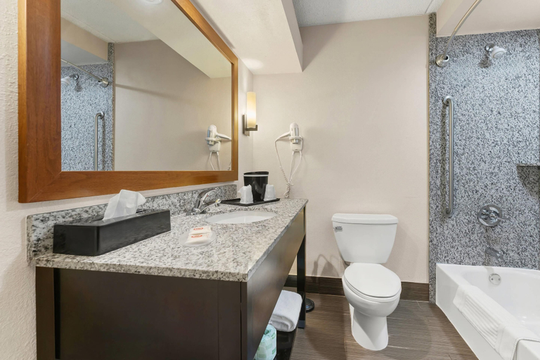 Bathroom 4, Comfort Inn Lehigh Valley West, Lehigh