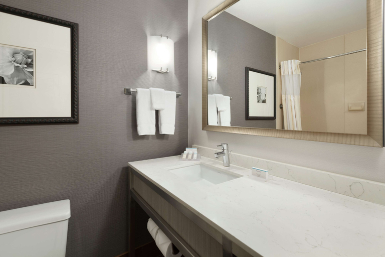 Bathroom 4, Hilton Garden Inn Gilroy, Santa Clara