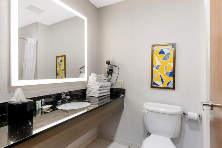 Bathroom 5, Comfort Inn & Suites, Berrien