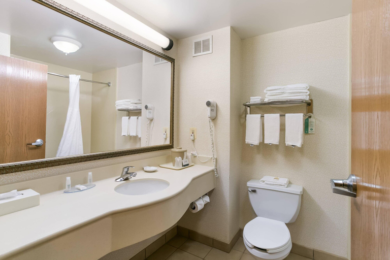Bathroom 4, Quality Inn & Suites Bel Air I-95 Exit 77A, Harford