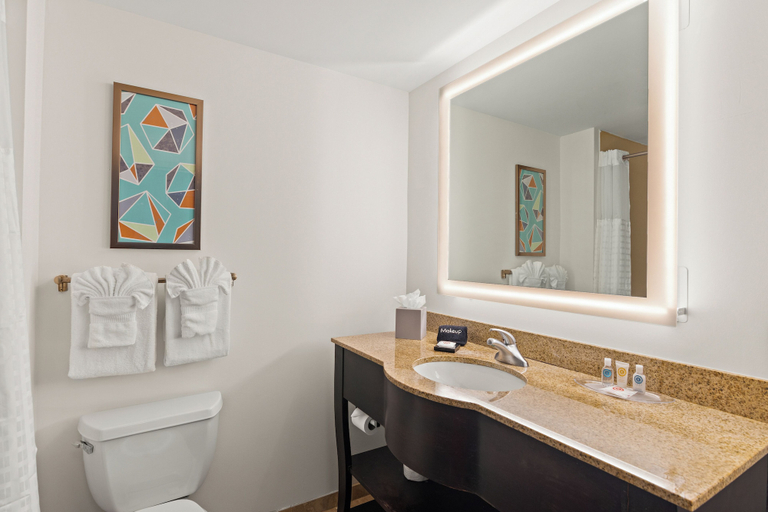 Bathroom 4, Comfort Suites Vero Beach I-95, Indian River