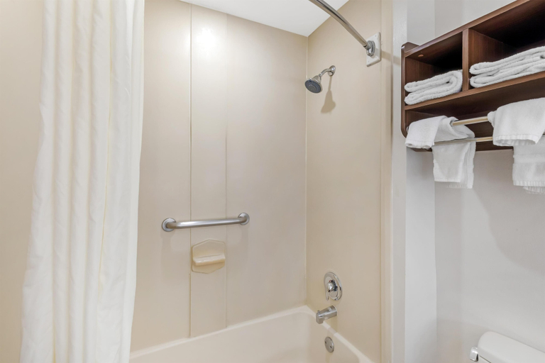 Bathroom 4, Best Western Plus Mcdonough Inn & Suites, Henry