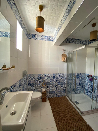 Bathroom 5, Hayriye Hanim Ege, Ayvalık
