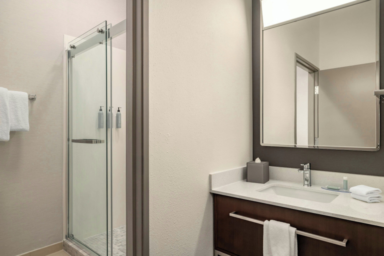 Bathroom 3, 코트야드 바이 메리어트 파고 무어헤드, MN, Clay