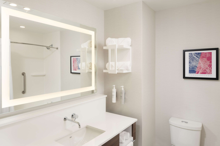 Bathroom 4, Hampton Inn & Suites Rochester Downtown, Monroe