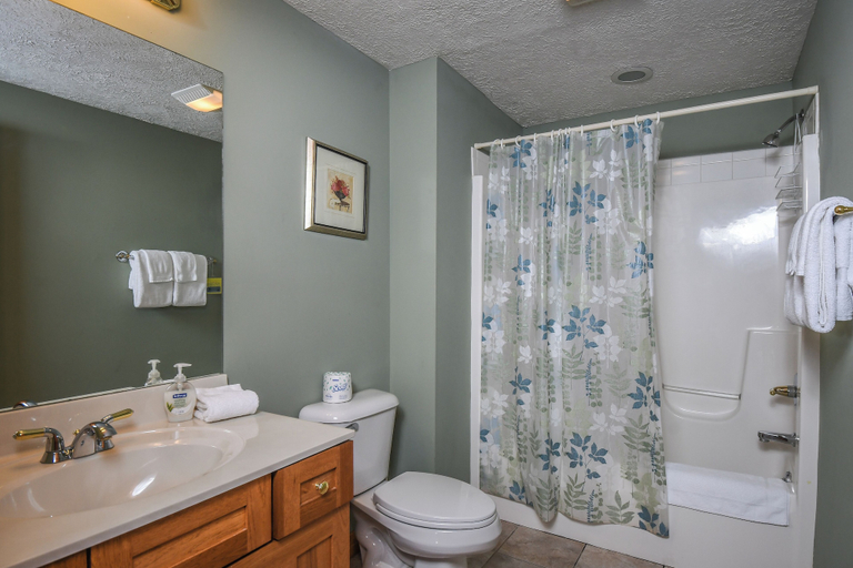Bathroom, Mountain Top Lodge by Taylor Made Deep Creek, Garrett