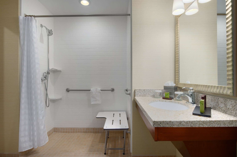 Bathroom 4, Embassy Suites by Hilton Tampa Brandon, Hillsborough