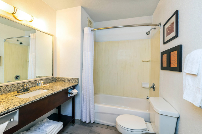 Bathroom 4, Comfort Inn & Suites Yorkton, Division No. 9