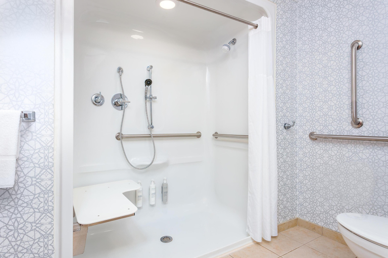 Bathroom 4, Hampton Inn & Suites Parkersburg Downtown, Wood