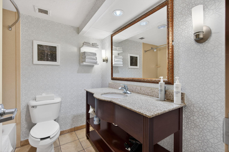 Bathroom 5, Hotel SLC, Salt Lake