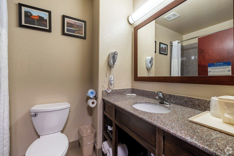 Bathroom 3, Comfort Inn & Suites Navasota, Grimes