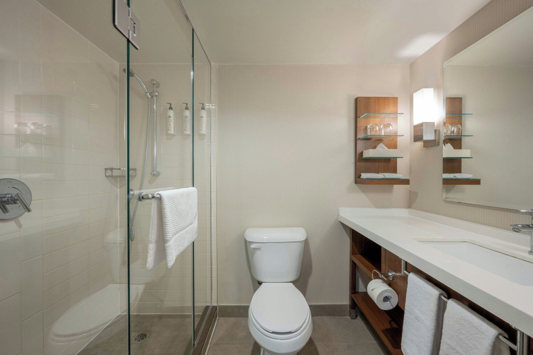 Bathroom 4, Delta Hotels by Marriott Regina, Division No. 6