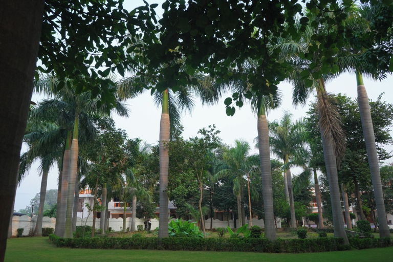 Others 5, Hotel Shree Krishna Jungle Resort, Chhatarpur