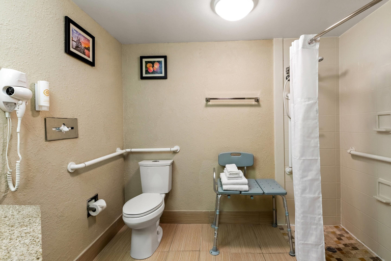 Bathroom 5, Comfort Inn Roswell-Dunwoody, Fulton