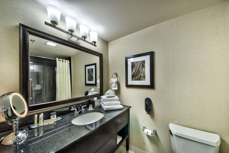 Bathroom 5, DoubleTree by Hilton Hotel Port Huron, Saint Clair