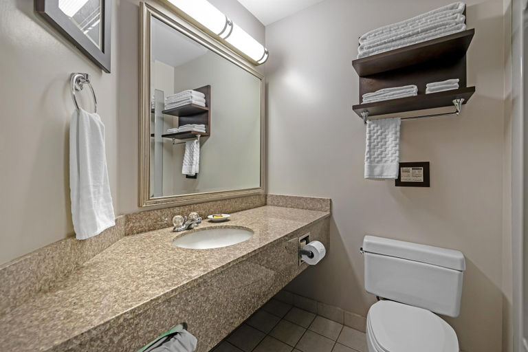 Bathroom 5, Best Western Plus Stoneridge Inn & Conference Centre, Middlesex
