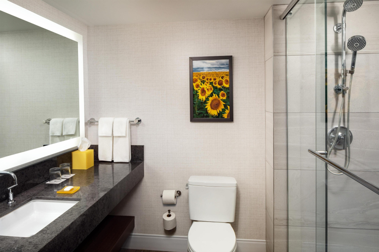 Bathroom 5, Hyatt Regency Wichita, Sedgwick
