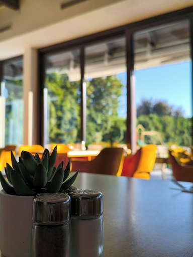 Food & Drinks 5, Hotel am Sachsengang, Gänserndorf